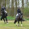 Reitertag 2026 April